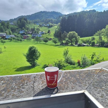 Wohnung Rheintal Im Alpenvorland Batschuns Exteriör bild
