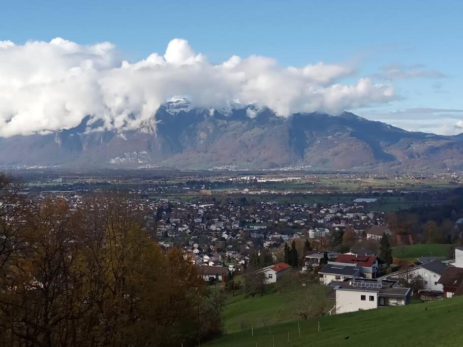 Wohnung Rheintal Im Alpenvorland Batschuns Exteriör bild