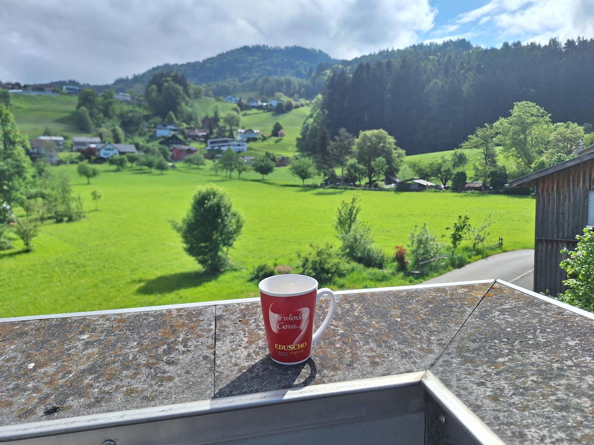 Wohnung Rheintal Im Alpenvorland Batschuns Exteriör bild