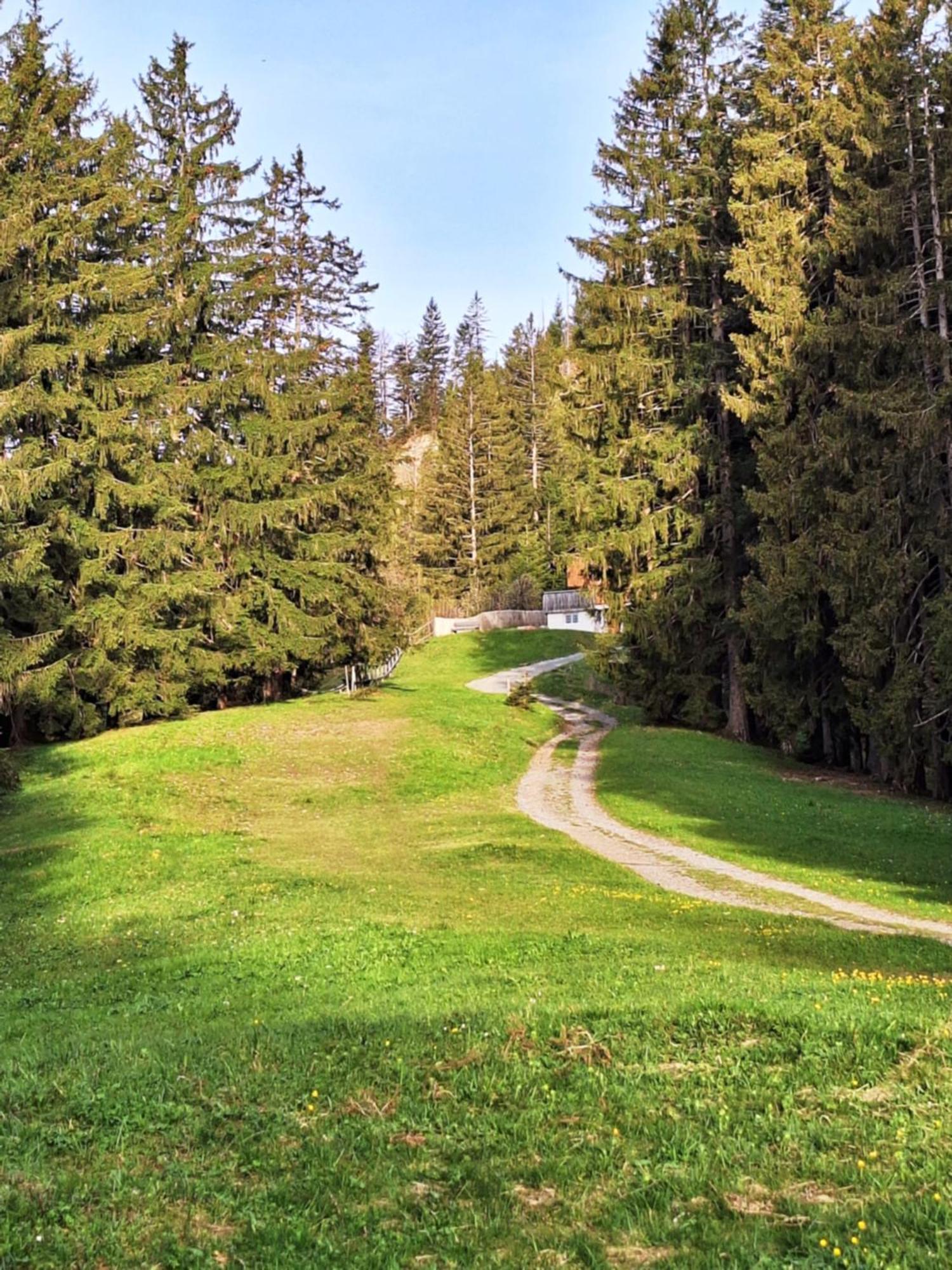 Wohnung Rheintal Im Alpenvorland Batschuns Exteriör bild