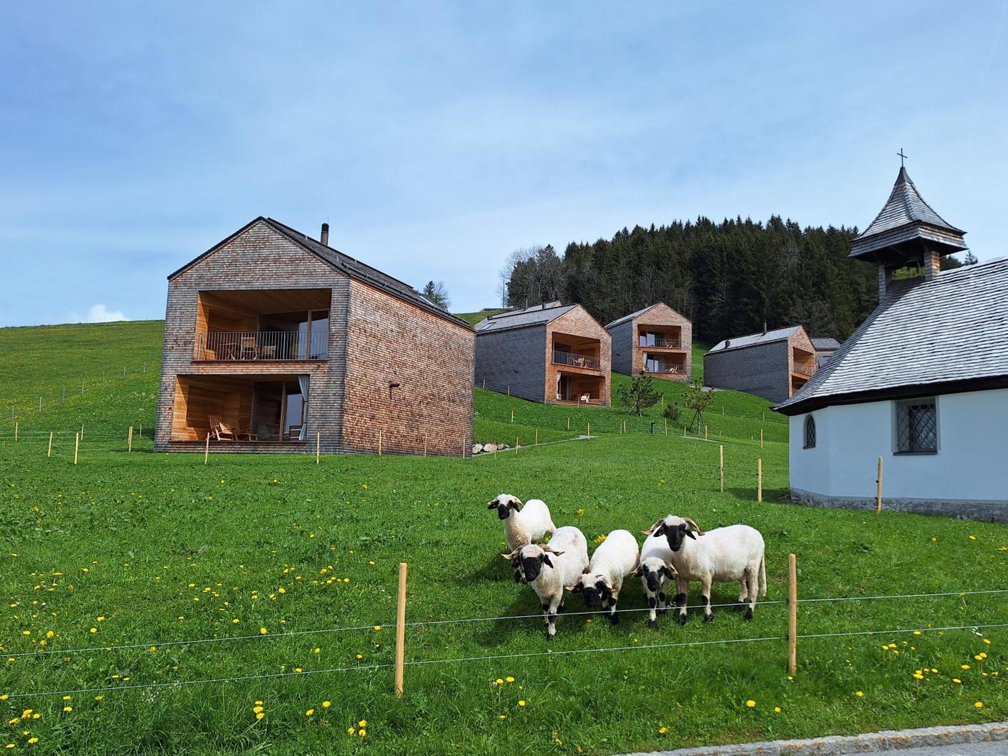 Wohnung Rheintal Im Alpenvorland Batschuns Exteriör bild