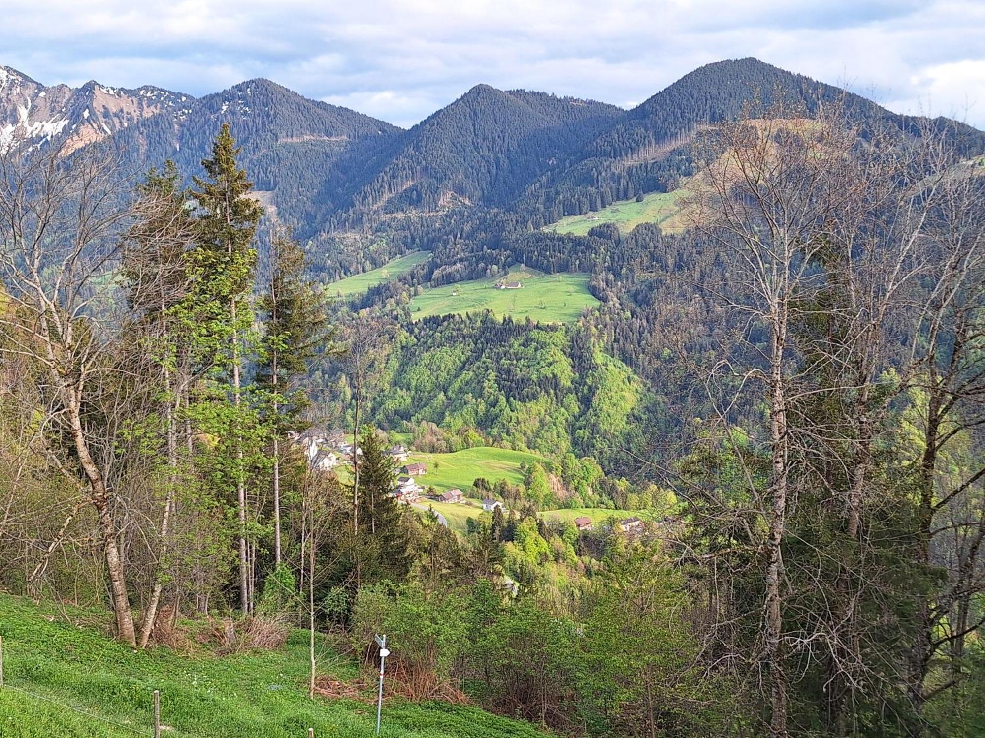 Wohnung Rheintal Im Alpenvorland Batschuns Exteriör bild