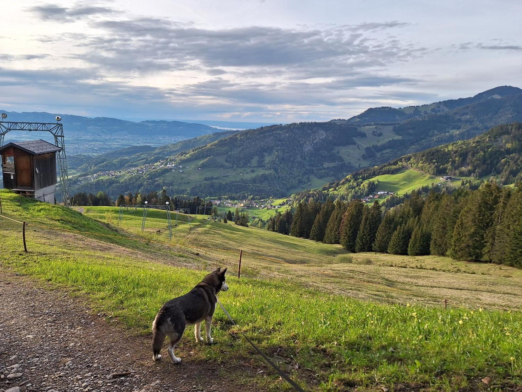 Wohnung Rheintal Im Alpenvorland Batschuns Exteriör bild